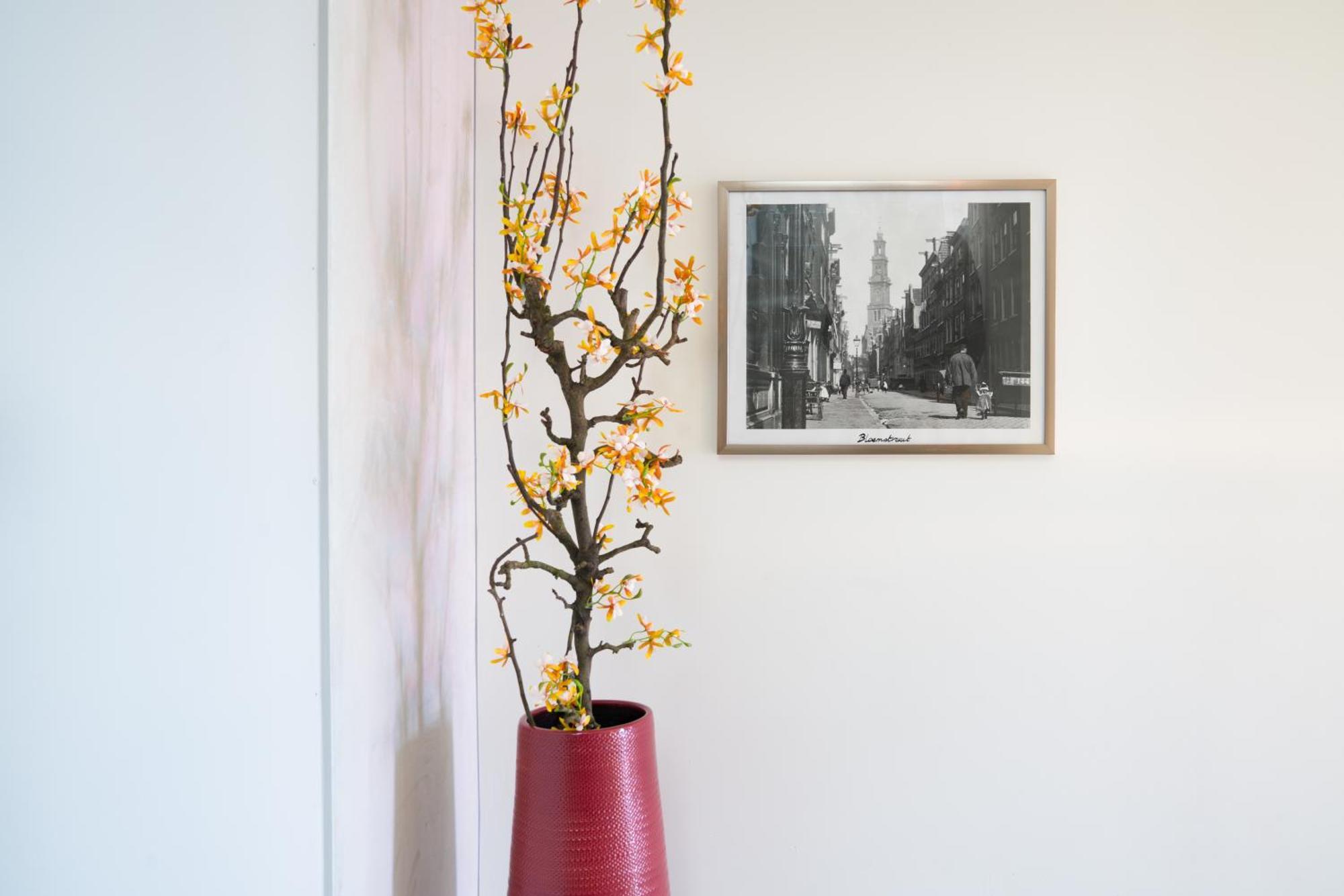 Huis Met De Krul Amsterdam Ngoại thất bức ảnh